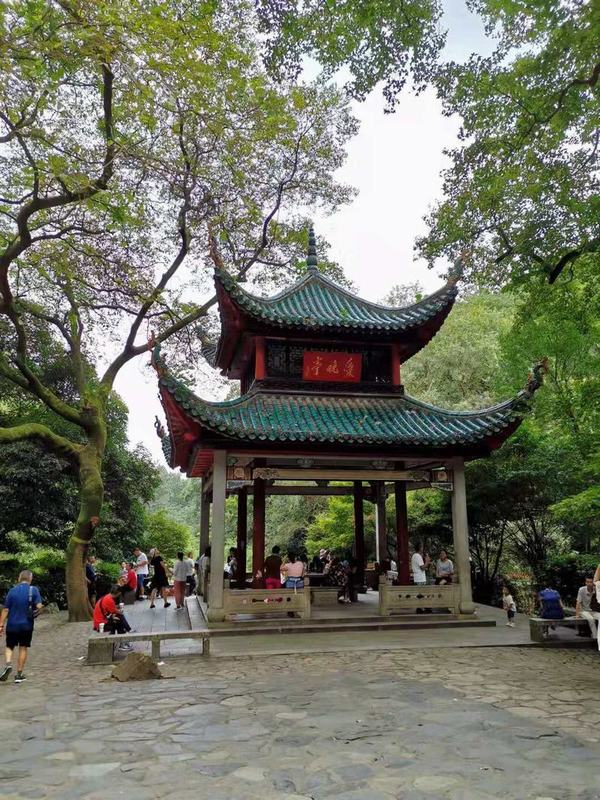 ��´ɽ�_�����W(w��ng)�j(lu��)�������W(w��ng)վʮ������������´ɽ��ӛ